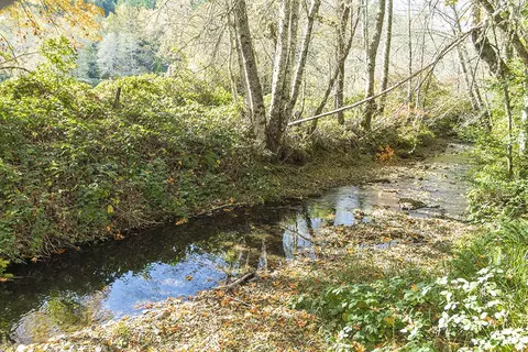 View/Area - 1263 Waldo Rd, O'brien, OR 97534 photo 9 of 9