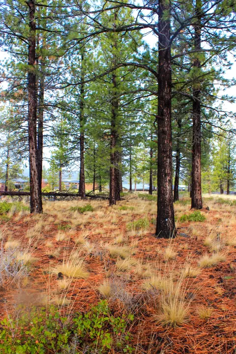18757 Golden Mantle Loop, Bend, OR 97703 photo 10