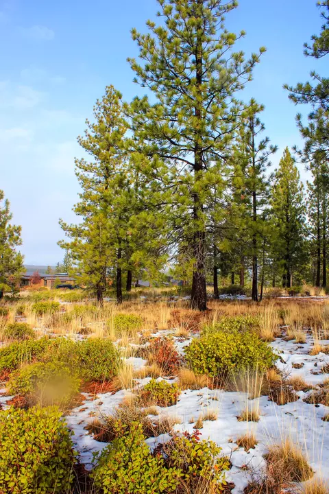18757 Golden Mantle Loop, Bend, OR 97703 photo 13