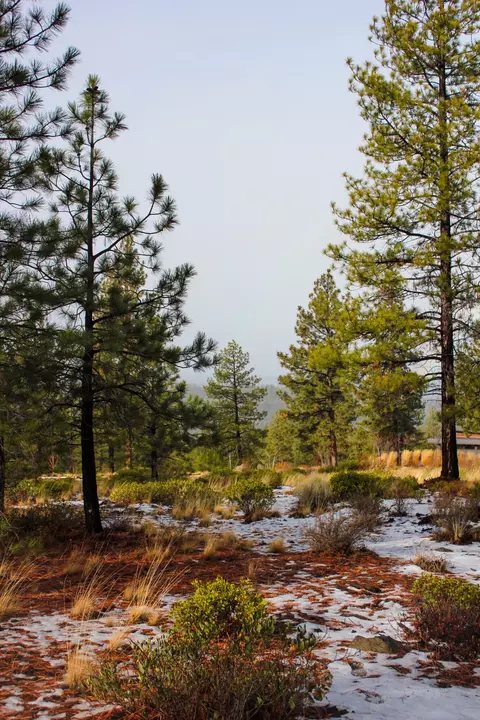 18757 Golden Mantle Loop, Bend, OR 97703 photo 8