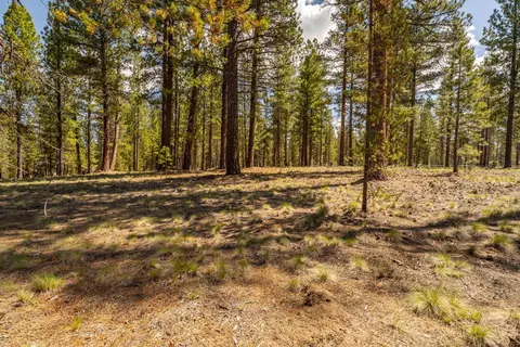 cottontail loop, Bend, OR 97707 photo 8
