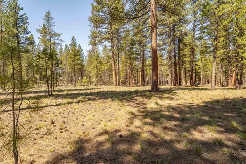 cottontail loop, Bend, OR 97707 photo 7