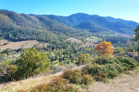 550 Thompson Creek Rd, Applegate, OR 97530 photo 5