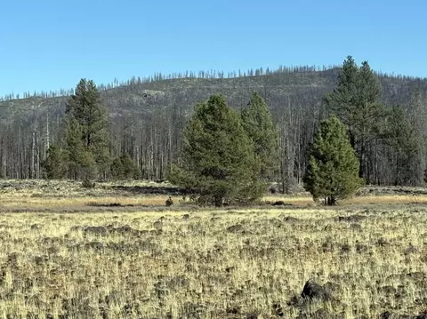 bull pine road, Beatty, OR 97621