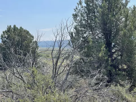 drews road, Chiloquin, OR 97624 photo 9