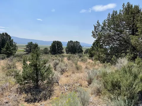 drews road, Chiloquin, OR 97624 photo 3