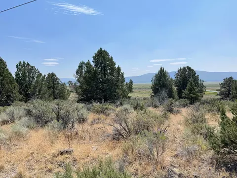 drews road, Chiloquin, OR 97624 photo 2