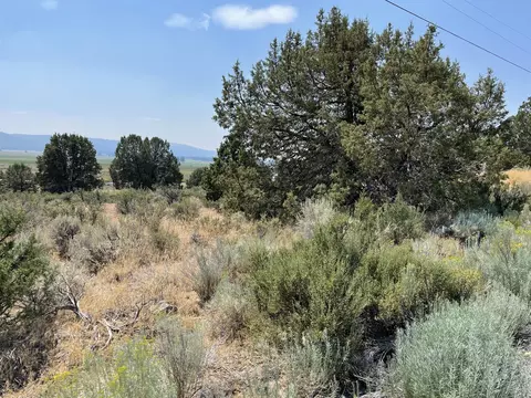 drews road, Chiloquin, OR 97624 photo 4
