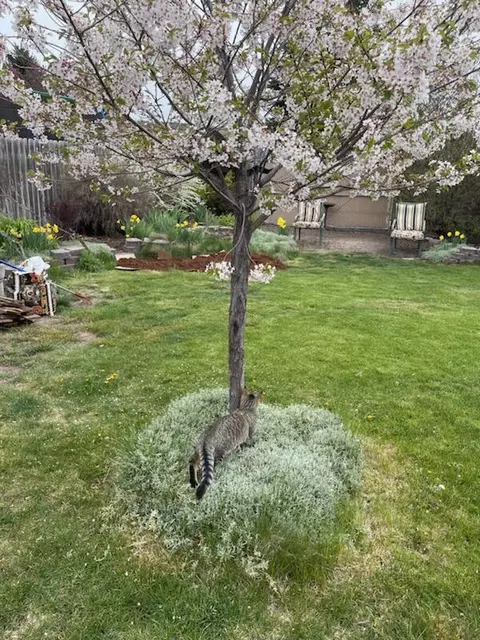 10229 Wright Ave, Klamath Falls, OR 97603 photo 25