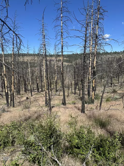 wren dr LOT 11, Bonanza, OR 97623