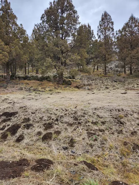 parula road LOT 1150, Klamath Falls, OR 97601