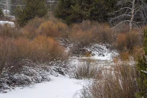 Other - 53785 Otter Dr, La Pine, OR 97739 photo 13 of 15