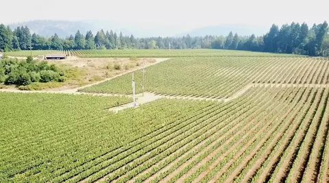 View/Area - 2789 Holland Loop Rd, Cave Junction, OR 97523 photo 4 of 4