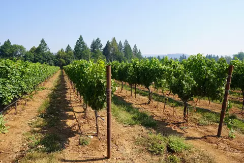 Other - 2789 Holland Loop Rd, Cave Junction, OR 97523 photo 13 of 21