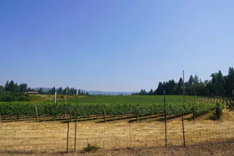 Other - 2789 Holland Loop Rd, Cave Junction, OR 97523 photo 18 of 21
