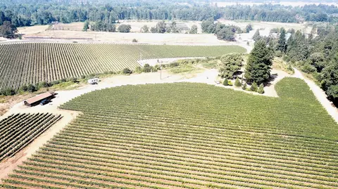 Other - 2789 Holland Loop Rd, Cave Junction, OR 97523 photo 7 of 21