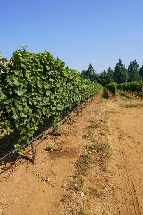 Other - 2789 Holland Loop Rd, Cave Junction, OR 97523 photo 12 of 21