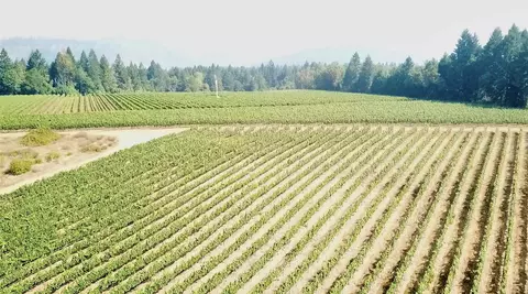 Other - 2789 Holland Loop Rd, Cave Junction, OR 97523 photo 21 of 21