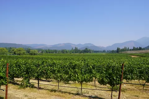 Other - 2789 Holland Loop Rd, Cave Junction, OR 97523 photo 19 of 21