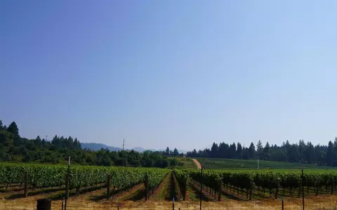 Other - 2789 Holland Loop Rd, Cave Junction, OR 97523 photo 1 of 21