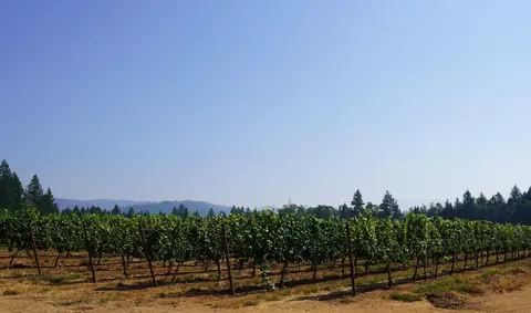 Other - 2789 Holland Loop Rd, Cave Junction, OR 97523 photo 14 of 21