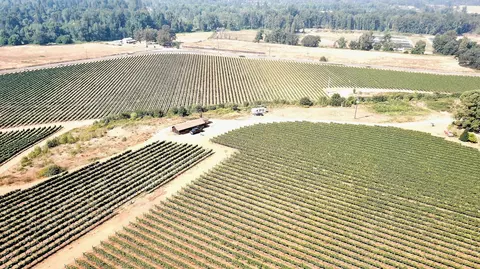 Other - 2789 Holland Loop Rd, Cave Junction, OR 97523 photo 6 of 21