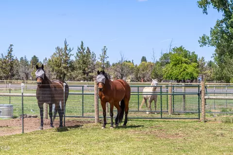Other - 22333 Nelson Rd, Bend, OR 97701 photo 3 of 50