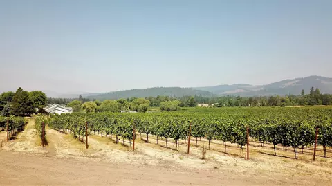 Other - 7821 Holland Loop Rd, Cave Junction, OR 97523 photo 5 of 20