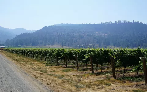 Other - 7821 Holland Loop Rd, Cave Junction, OR 97523 photo 13 of 20
