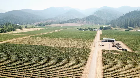 Other - 7821 Holland Loop Rd, Cave Junction, OR 97523 photo 10 of 20