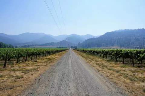 Other - 7821 Holland Loop Rd, Cave Junction, OR 97523 photo 4 of 20
