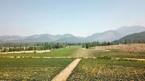 Other - 7821 Holland Loop Rd, Cave Junction, OR 97523 photo 6 of 20