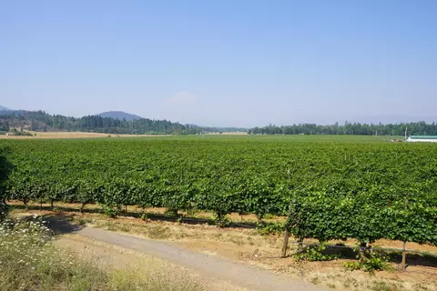 View/Area - 7821 Holland Loop Rd, Cave Junction, OR 97523 photo 12 of 17