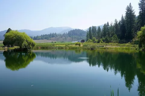 View/Area - 7821 Holland Loop Rd, Cave Junction, OR 97523 photo 3 of 17