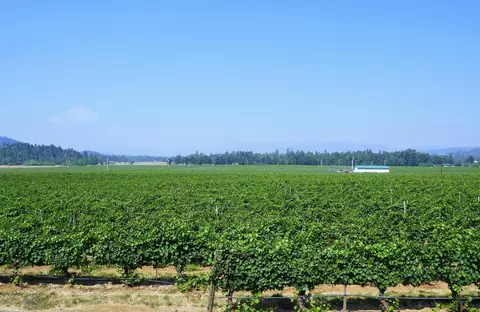 Other - 7821 Holland Loop Rd, Cave Junction, OR 97523 photo 1 of 20