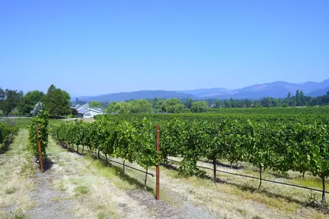 Other - 7821 Holland Loop Rd, Cave Junction, OR 97523 photo 14 of 20
