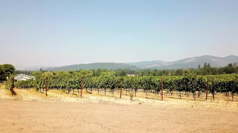 View/Area - 7821 Holland Loop Rd, Cave Junction, OR 97523 photo 8 of 17