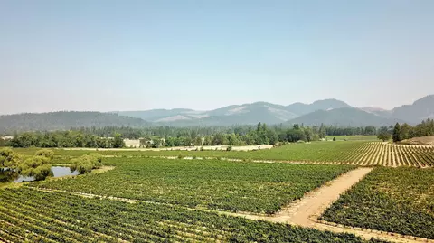 View/Area - 7821 Holland Loop Rd, Cave Junction, OR 97523 photo 5 of 17