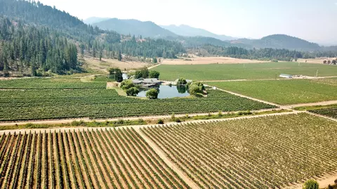 View/Area - 7821 Holland Loop Rd, Cave Junction, OR 97523 photo 9 of 17