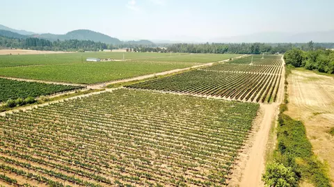 Other - 7821 Holland Loop Rd, Cave Junction, OR 97523 photo 8 of 20