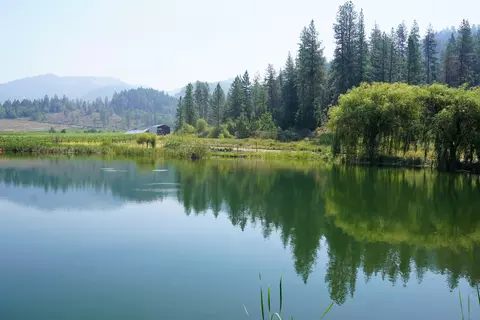 View/Area - 7821 Holland Loop Rd, Cave Junction, OR 97523 photo 13 of 17