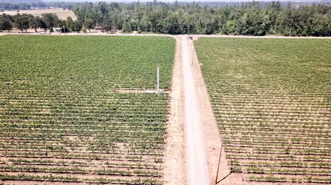 Other - 7821 Holland Loop Rd, Cave Junction, OR 97523 photo 11 of 20