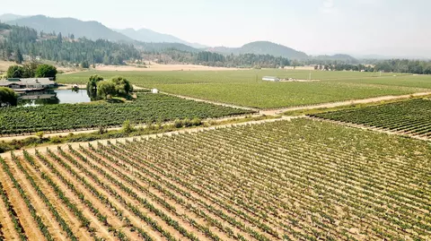 View/Area - 7821 Holland Loop Rd, Cave Junction, OR 97523 photo 10 of 17