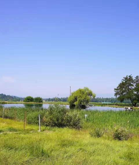 View/Area - 7821 Holland Loop Rd, Cave Junction, OR 97523 photo 16 of 17
