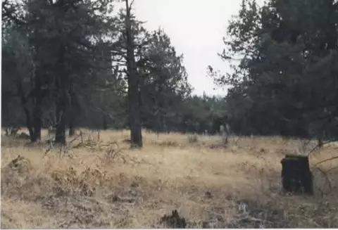 wildhorse drive, Bonanza, OR 97623