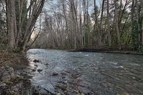 View/Area - 1523 Cedar Flat Rd, Williams, OR 97544 photo 1 of 8