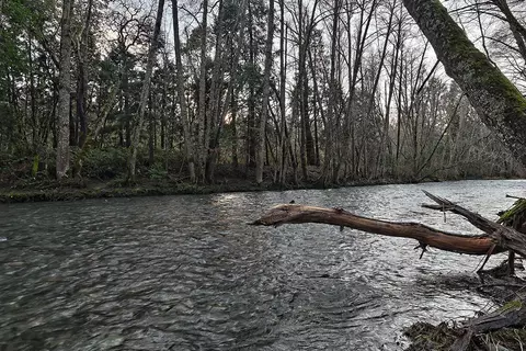 View/Area - 1523 Cedar Flat Rd, Williams, OR 97544 photo 2 of 8