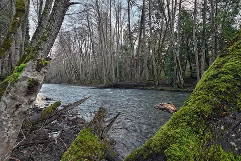View/Area - 1523 Cedar Flat Rd, Williams, OR 97544 photo 5 of 8