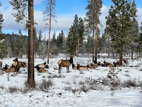 Other - 54812 Pine Crest Rd, Bend, OR 97707 photo 2 of 18