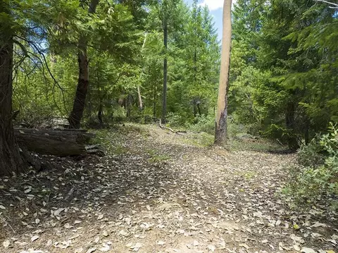 8300 Jump Off Joe Creek Rd, Grants Pass, OR 97526